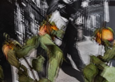 NIKON D5000 2010-03-06 10:44:47 f/36 2.5sec ISO-400 55mm