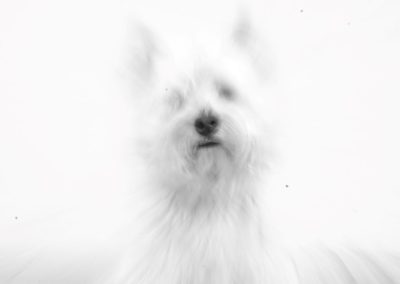 2025-09-25 13:58:03 Horizontal (normal)