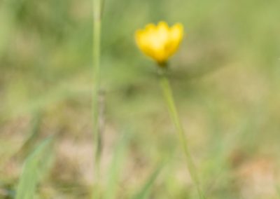 2025-09-27 14:39:32 Horizontal (normal)