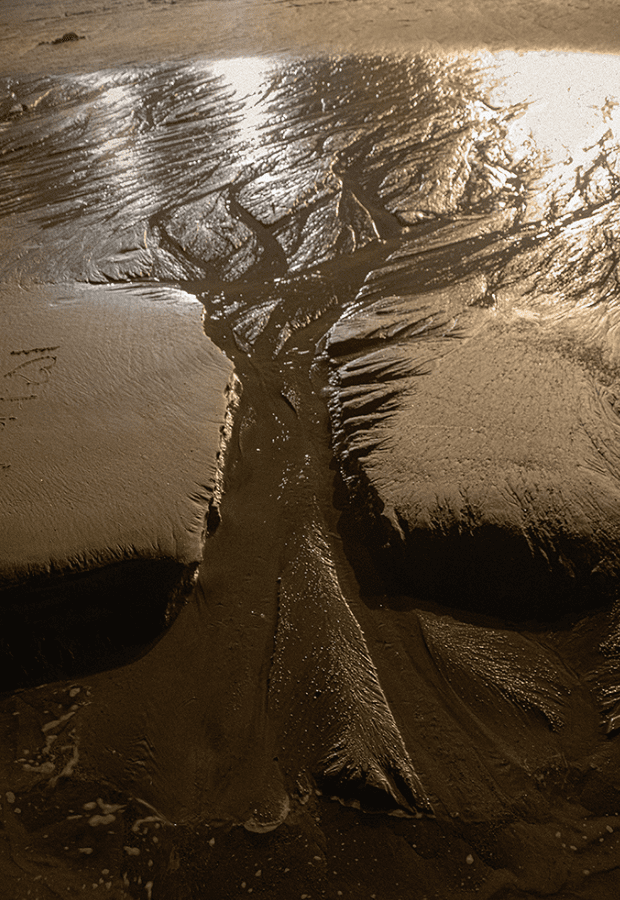 Affiche de l'exposition au fil de l'eau