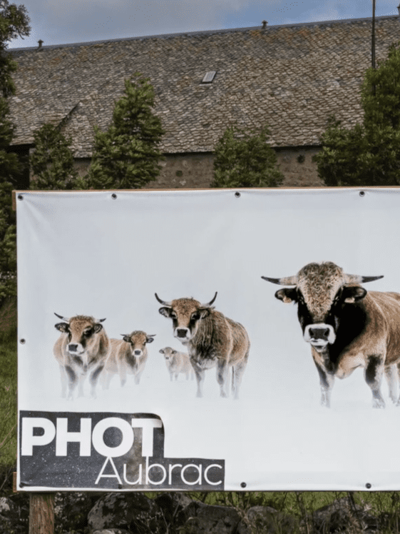 Affiche de l'exposition au fil de l'eau