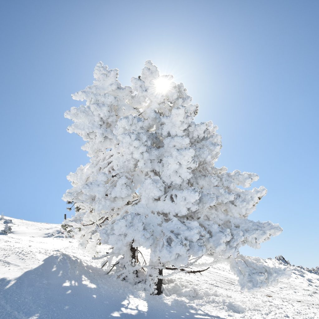 Défi 86, original jpg sans aucune retouche. Meillur que la photo du Défi ?